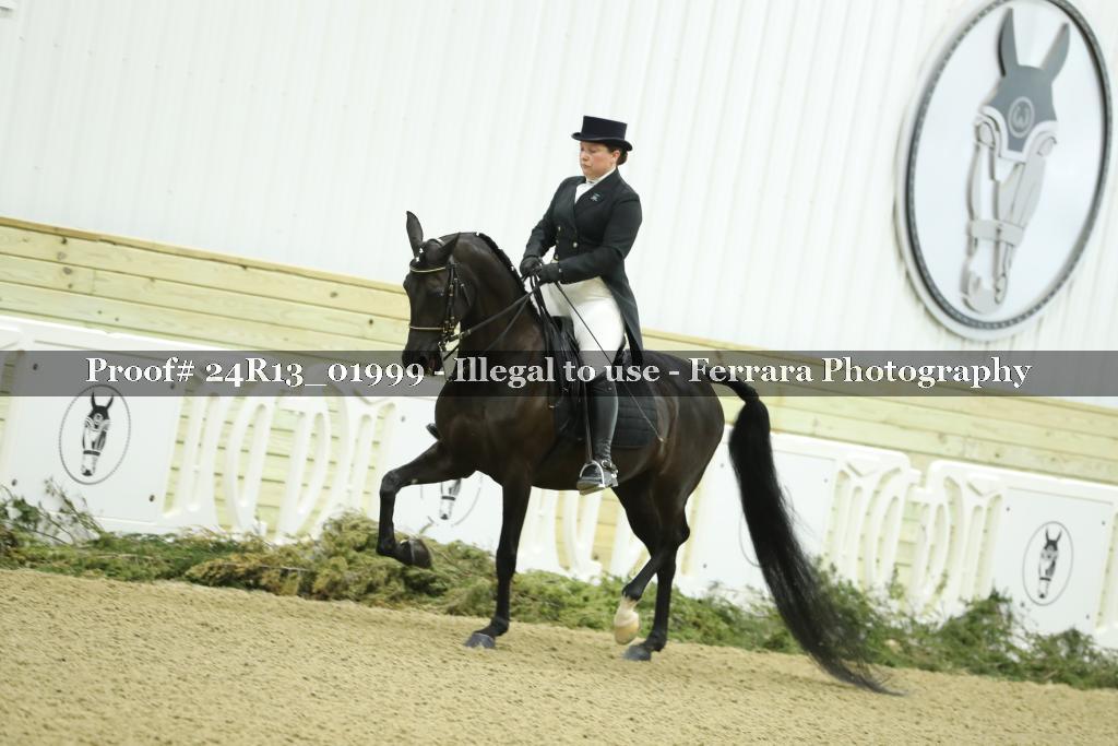 Proof 24R13_01999
