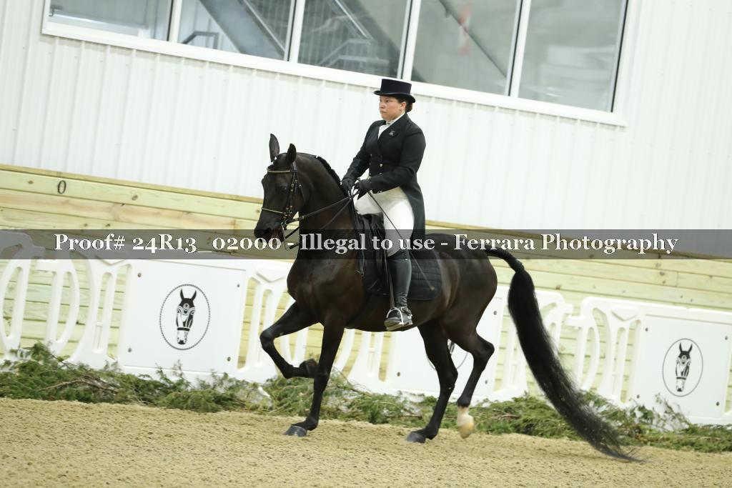 Proof 24R13_02000