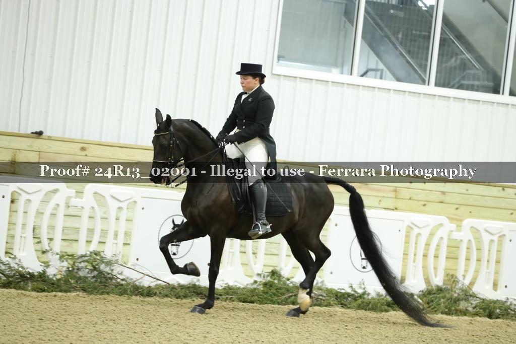 Proof 24R13_02001