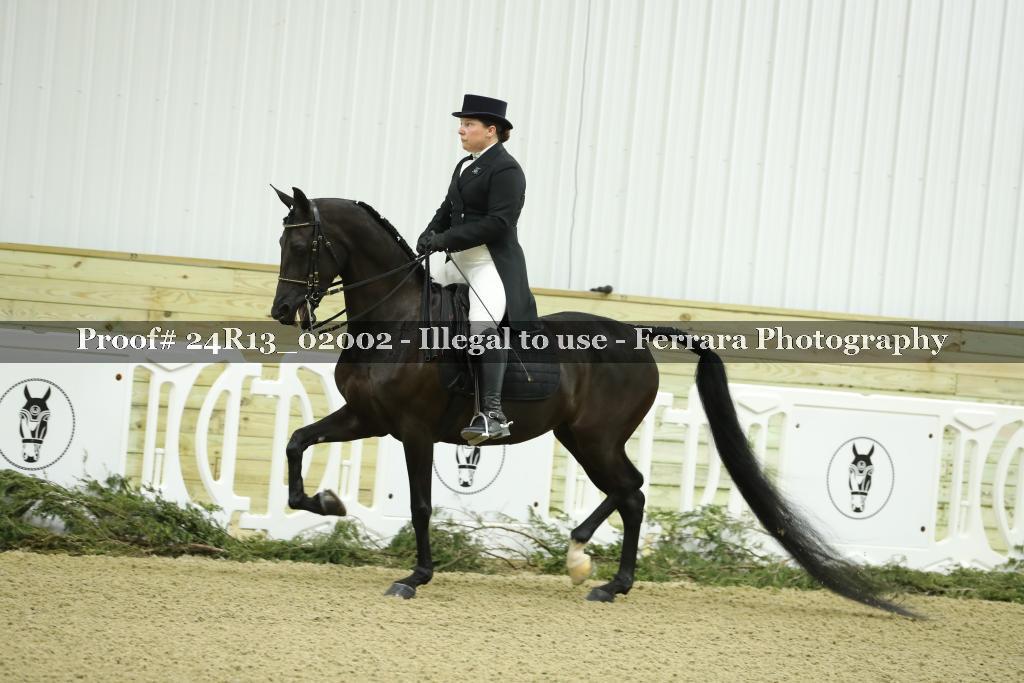 Proof 24R13_02002