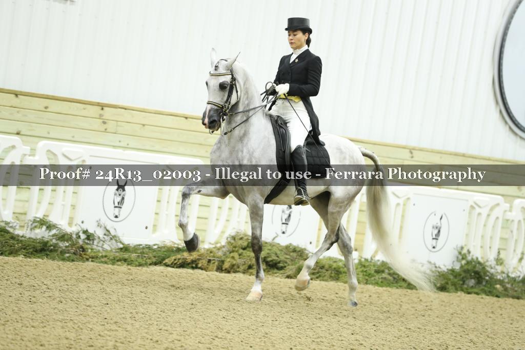 Proof 24R13_02003