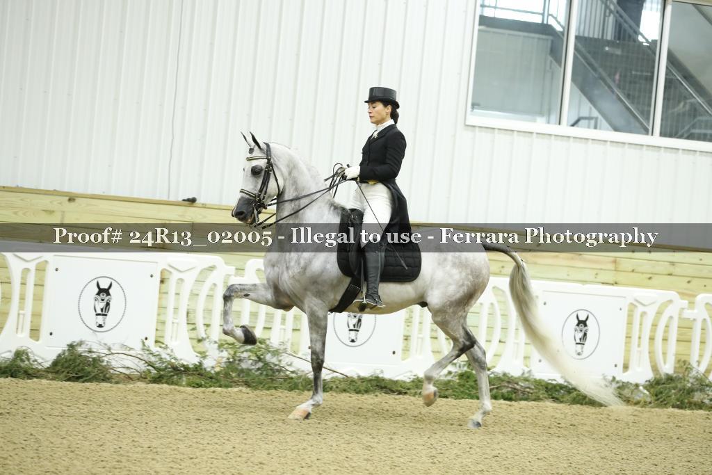 Proof 24R13_02005