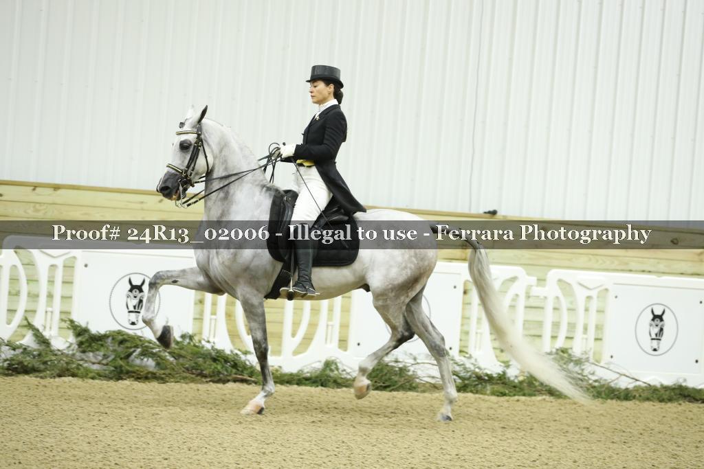 Proof 24R13_02006