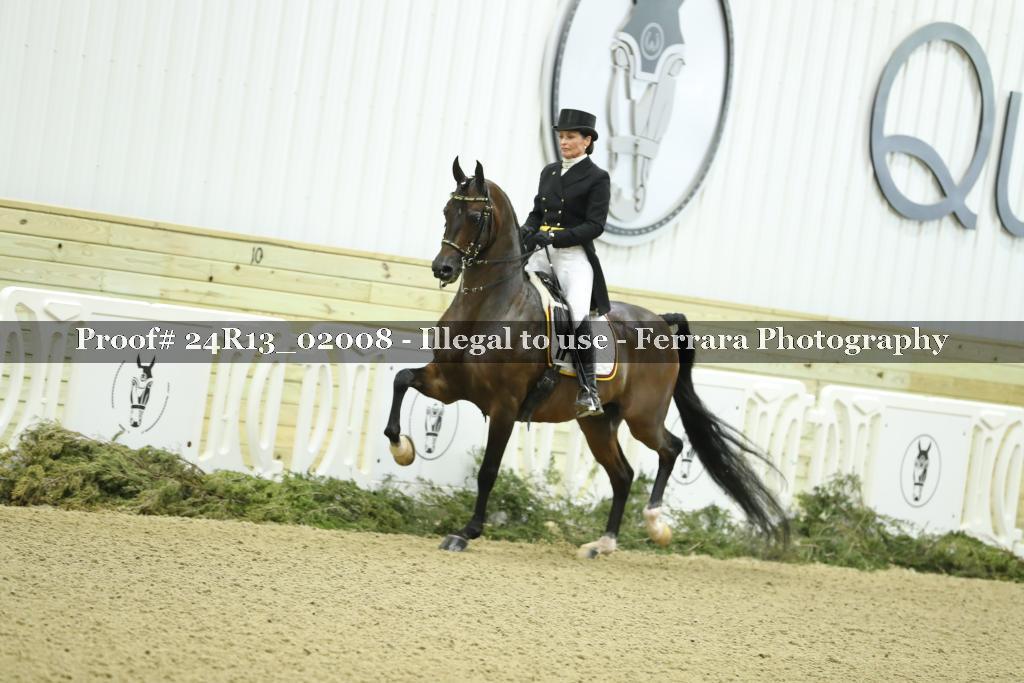 Proof 24R13_02008
