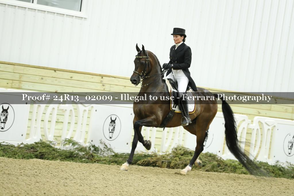 Proof 24R13_02009