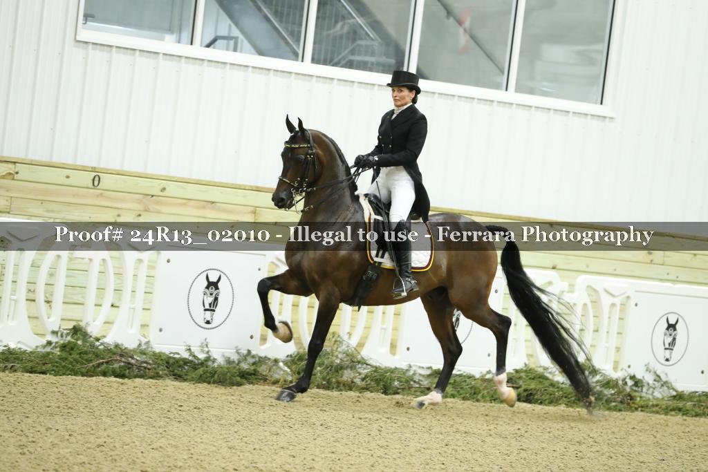 Proof 24R13_02010
