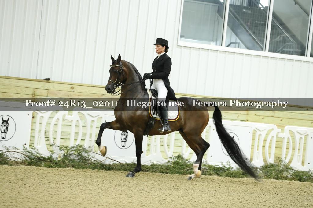 Proof 24R13_02011