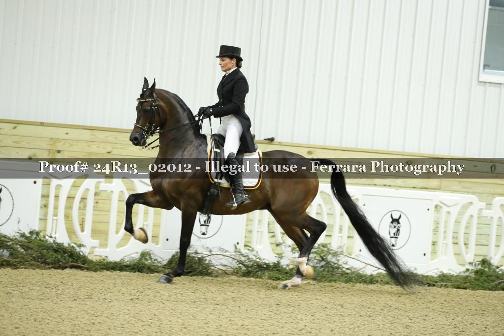 Proof 24R13_02012
