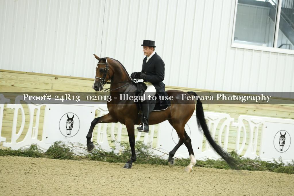 Proof 24R13_02013