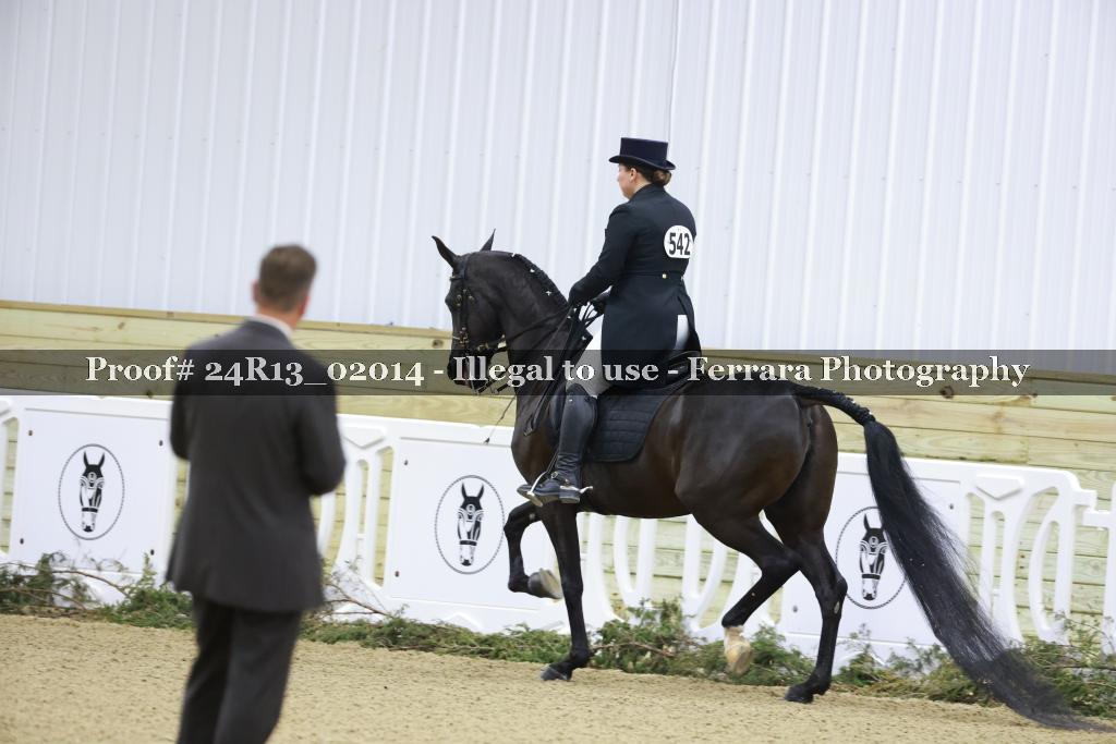 Proof 24R13_02014