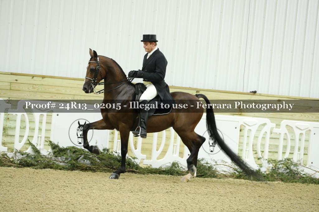 Proof 24R13_02015