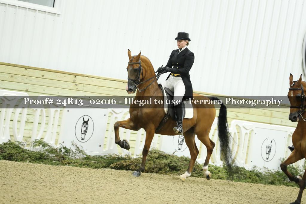 Proof 24R13_02016
