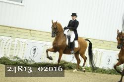 24R13_02016 proof