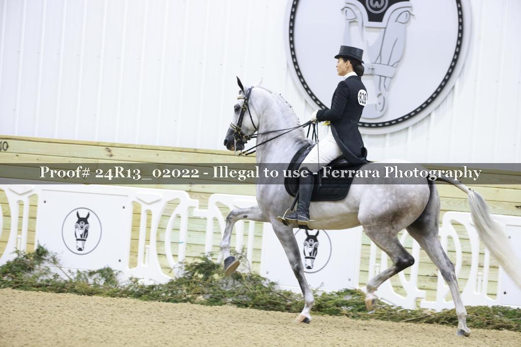 Proof 24R13_02022