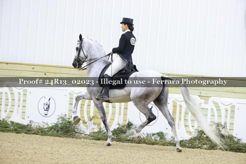Proof 24R13_02023