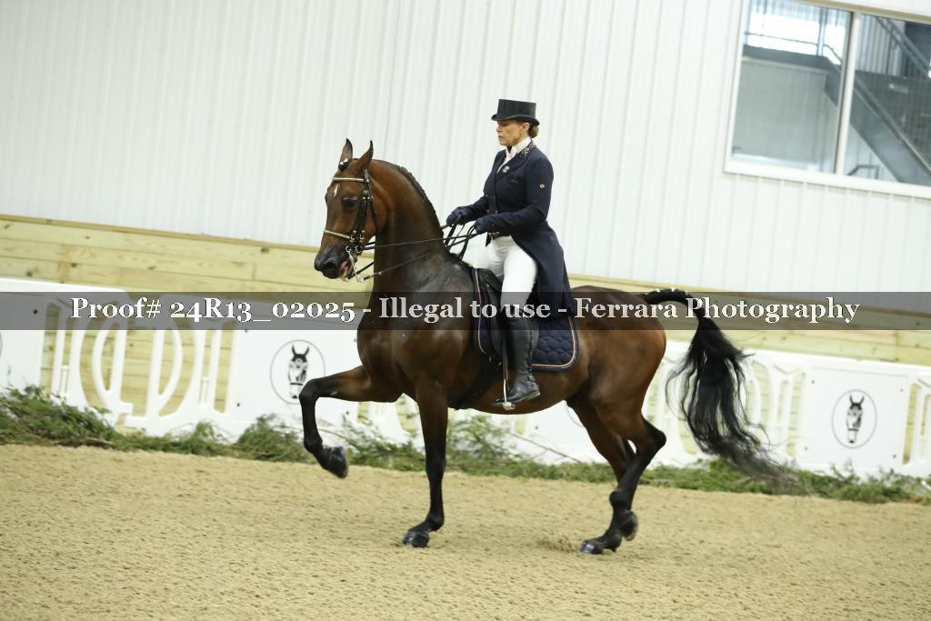 Proof 24R13_02025