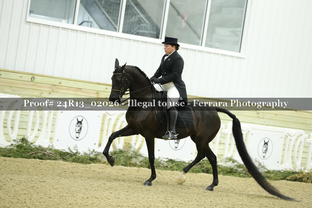 Proof 24R13_02026
