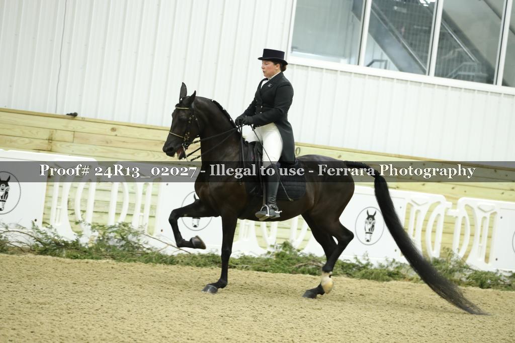 Proof 24R13_02027