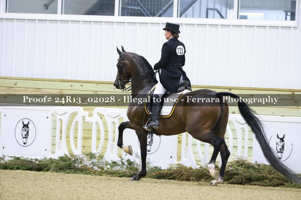 Proof 24R13_02028