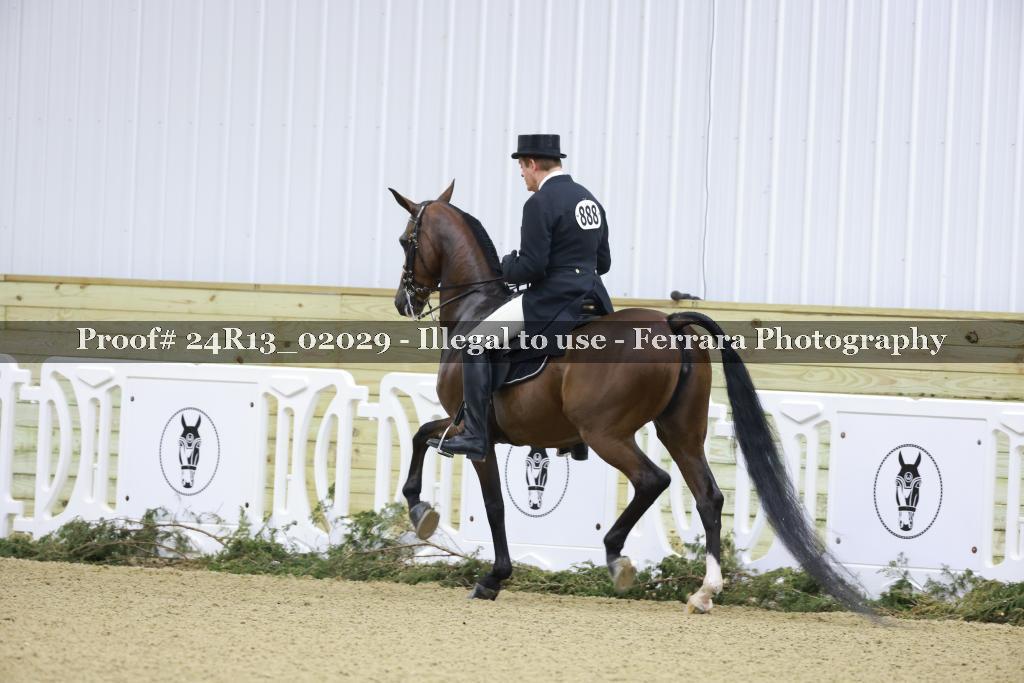 Proof 24R13_02029