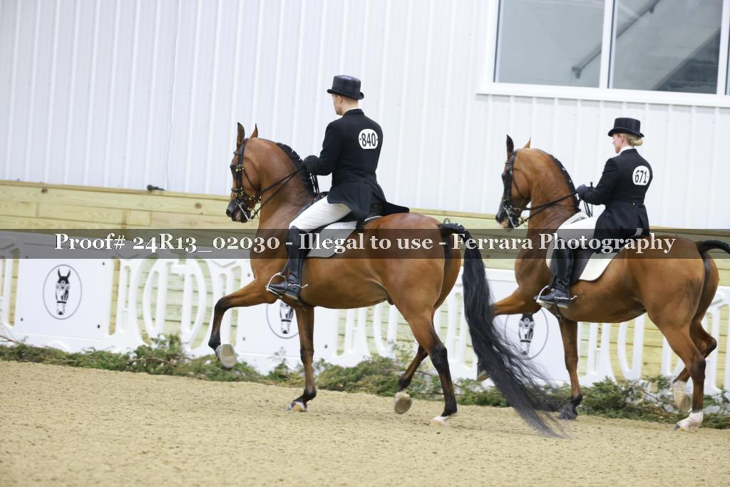 Proof 24R13_02030