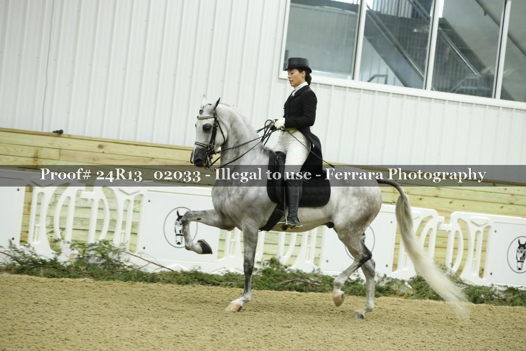 Proof 24R13_02033