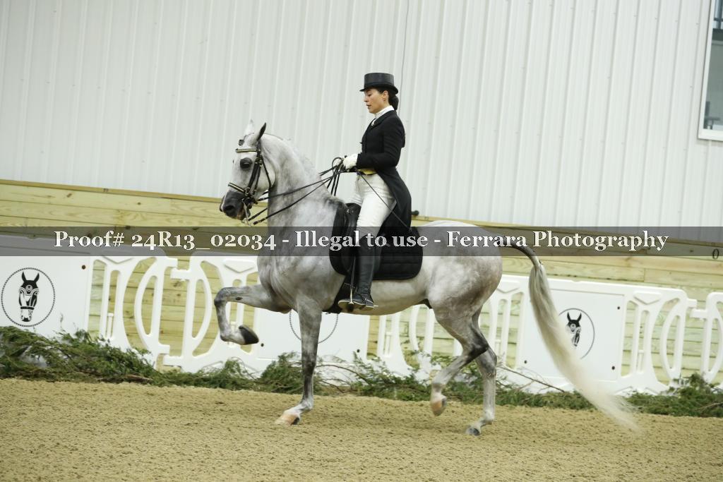 Proof 24R13_02034