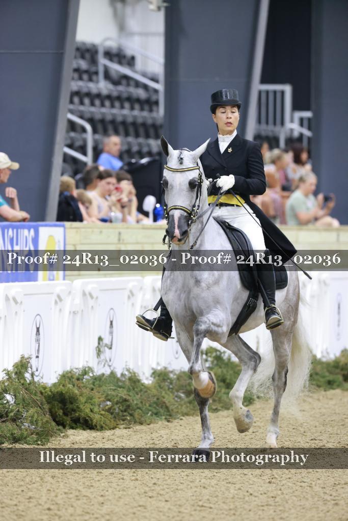 Proof 24R13_02036
