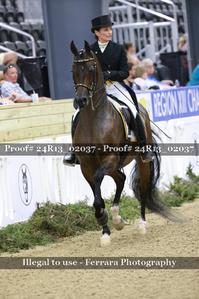 Proof 24R13_02037
