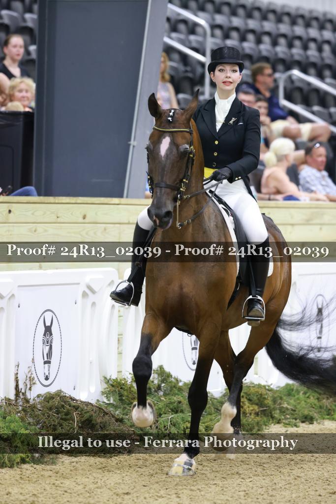 Proof 24R13_02039
