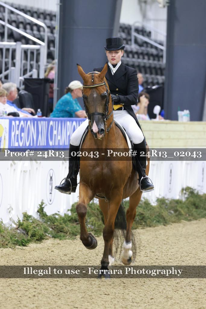 Proof 24R13_02043