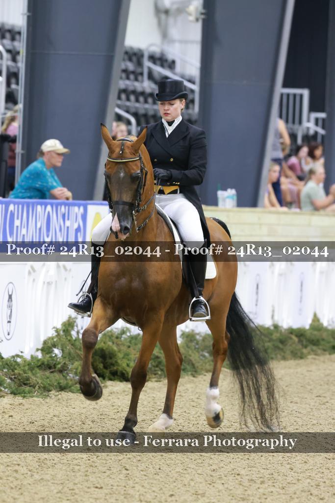 Proof 24R13_02044