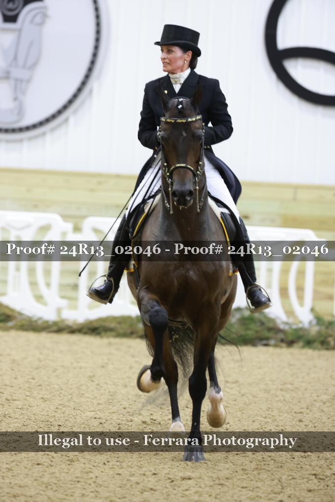 Proof 24R13_02046