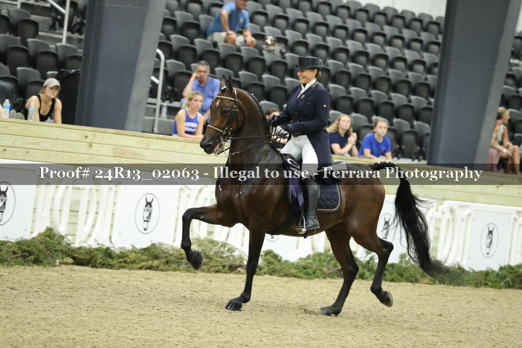 Proof 24R13_02063