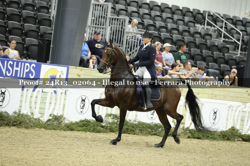 Proof 24R13_02064