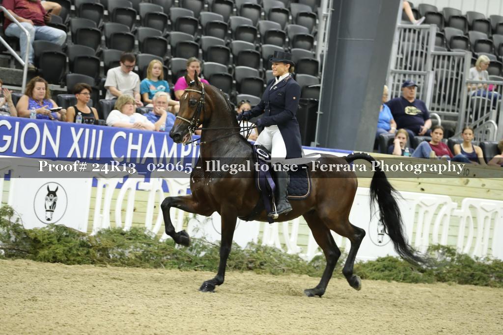 Proof 24R13_02065