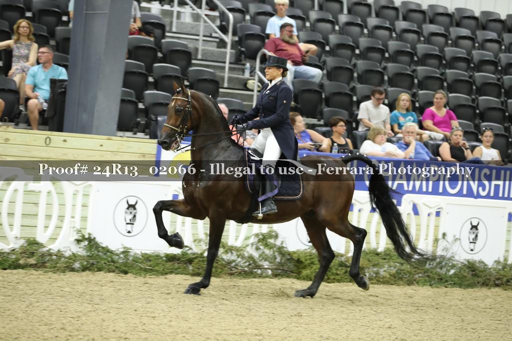 Proof 24R13_02066
