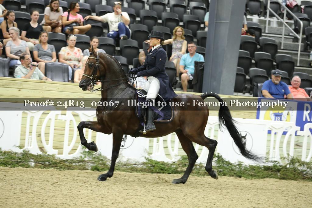 Proof 24R13_02067