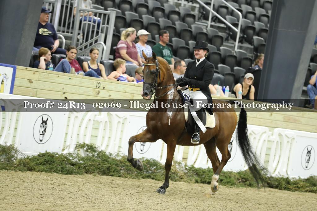 Proof 24R13_02069