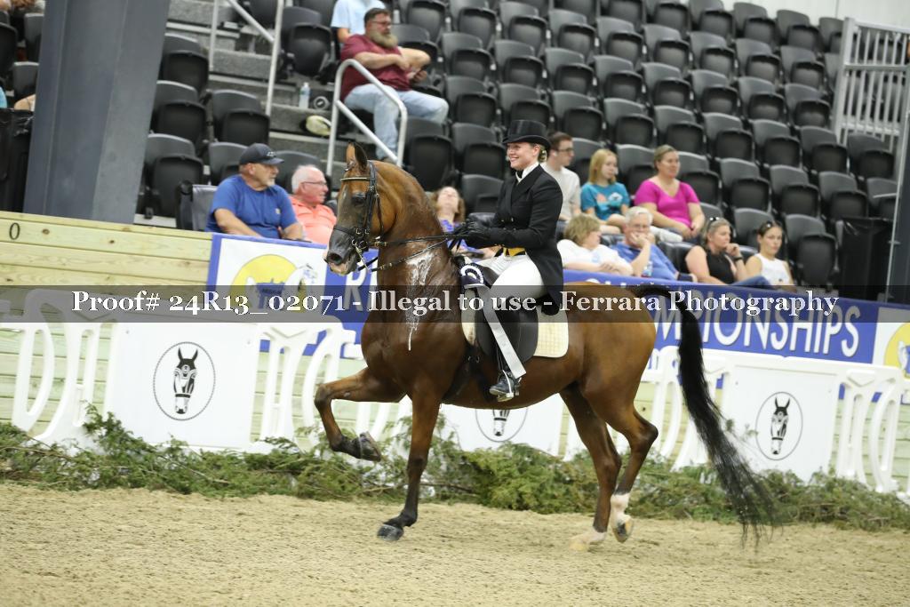 Proof 24R13_02071