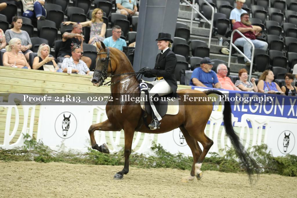 Proof 24R13_02072