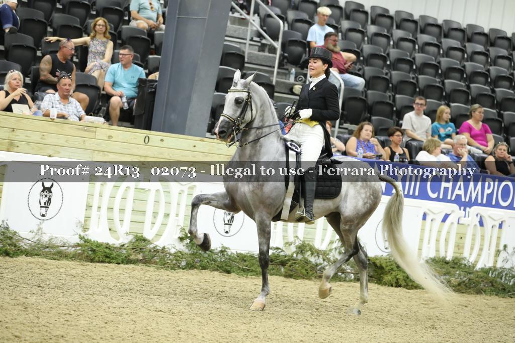 Proof 24R13_02073