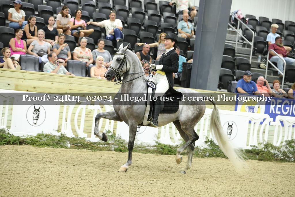 Proof 24R13_02074