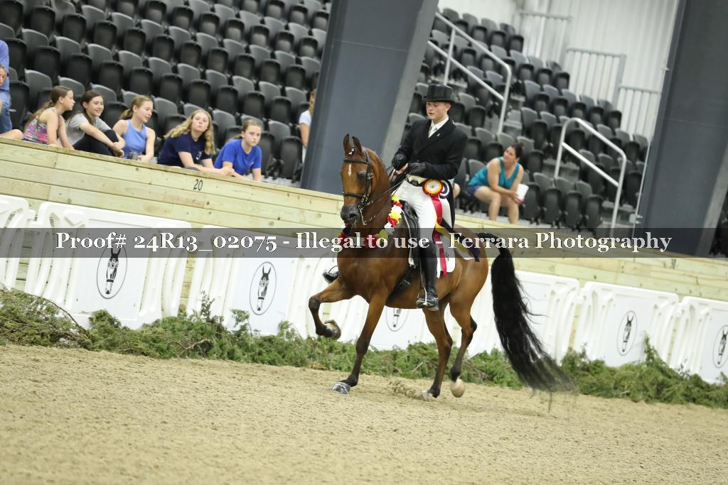 Proof 24R13_02075