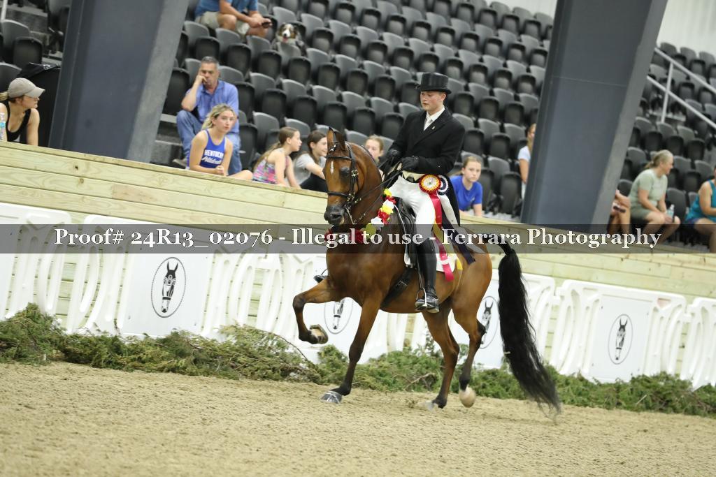 Proof 24R13_02076