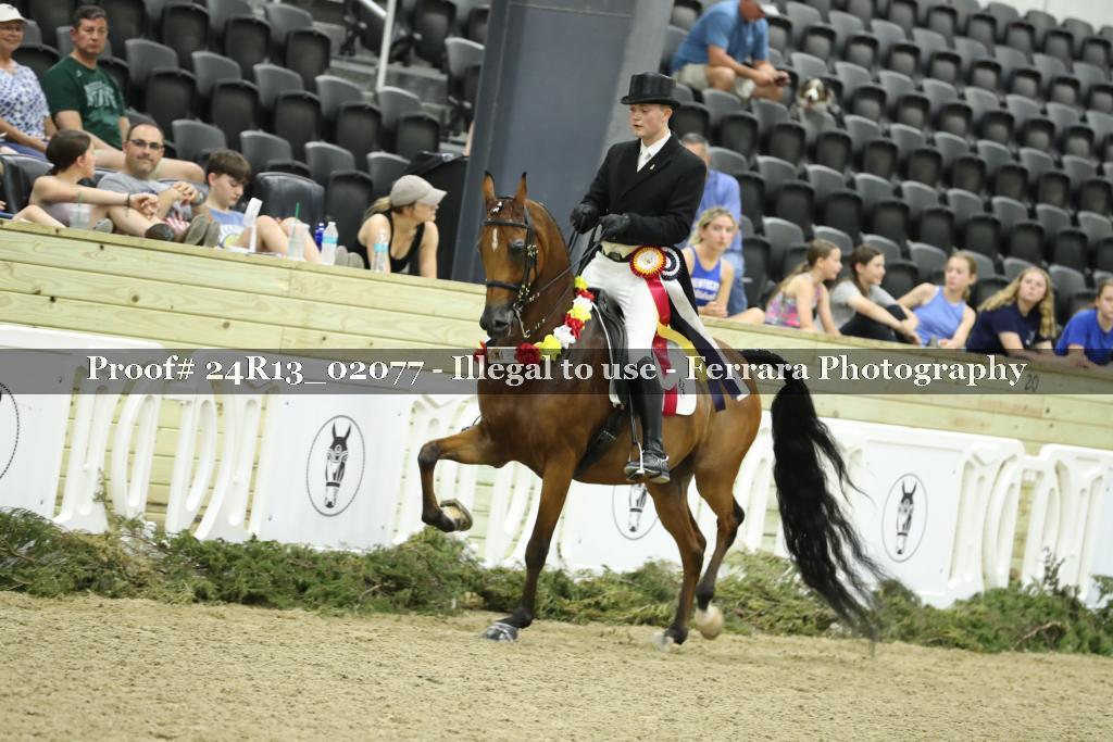 Proof 24R13_02077