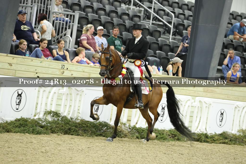 Proof 24R13_02078