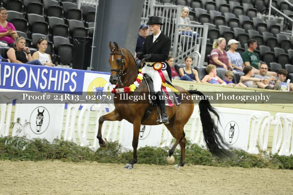 Proof 24R13_02079