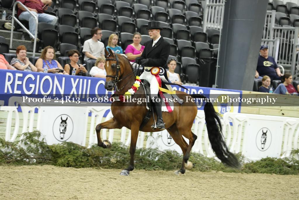 Proof 24R13_02080