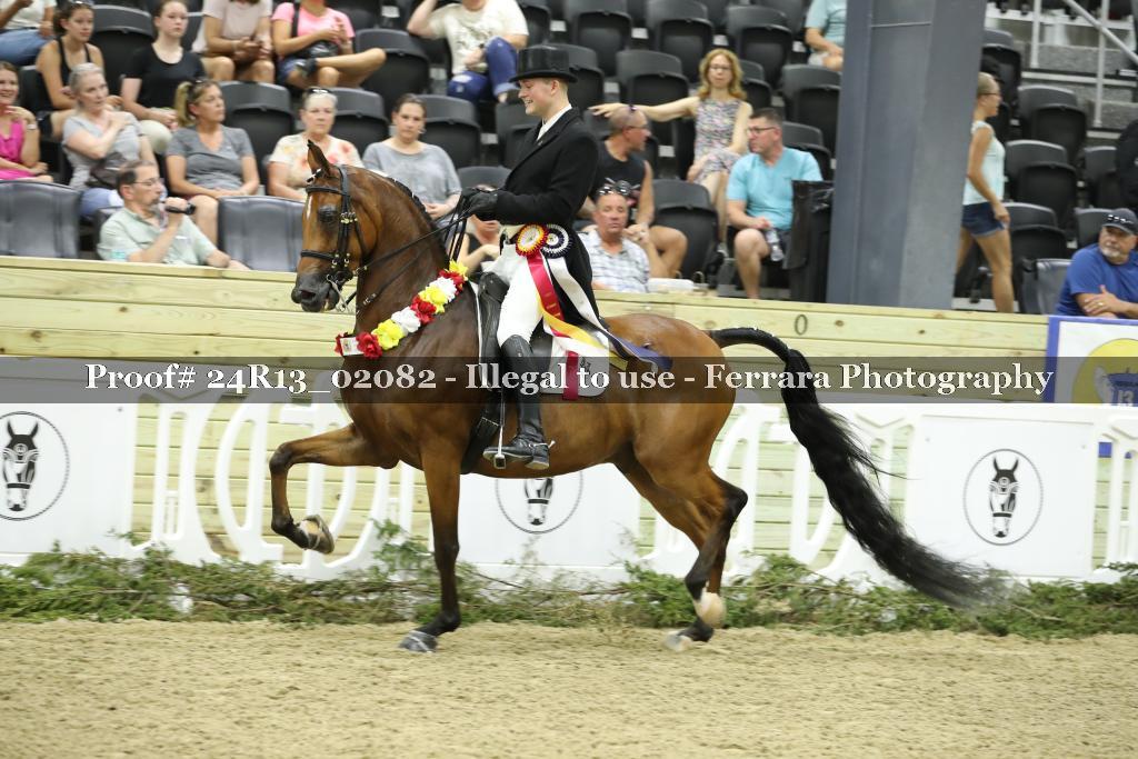 Proof 24R13_02082